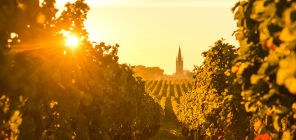 Vignobles autour de Saint-Émilion Vignobles autour de Saint-Émilion