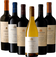L'âme de Mendoza avec Bodegas Salentein - Pack de dégustation de 6