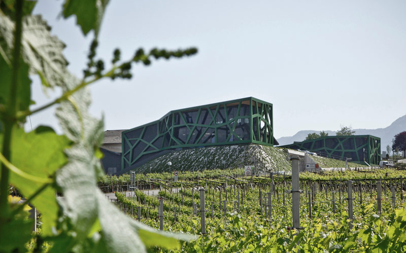 Cantina Tramin Kellerei und Weinberge Cantina Tramin Kellerei und Weinberge