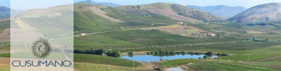 Cusumano Weingut Cusumano Weingut