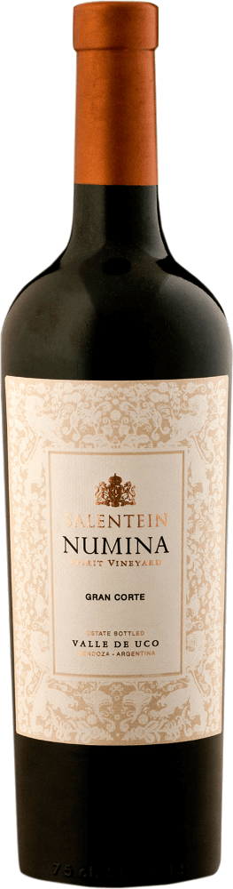Vorschau: De ziel van Mendoza's met Bodegas Salentein - 6x Proefpakket