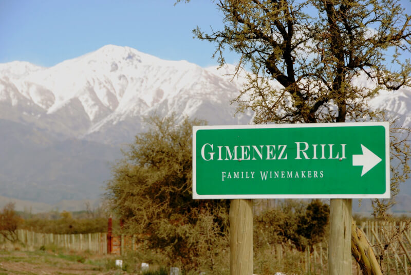 Bodega Gimenez Riili Weinberge Bodega Gimenez Riili Weinberge