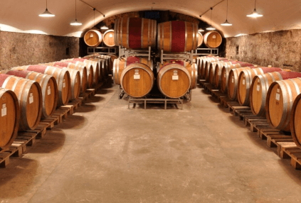 Cave du domaine Nelles