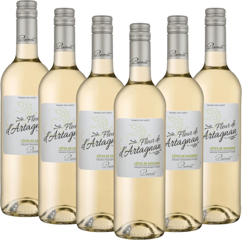 6er Vorteils-Weinpaket - Fleur de d'Artagnan Blanc - Plaimont