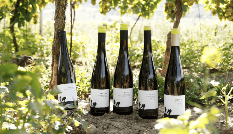 Top vins Top vins