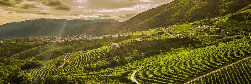 Uitzicht over de heuvels van Valdobbiadene