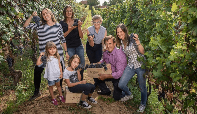 Die Familie Marrone im Weinberg