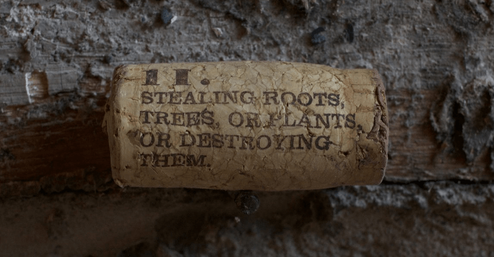 Un bouchon - un crime