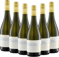 Vorschau: Ein Tag am Meer Sauvignon blanc sec - Weingut hamble - 6x coffret dégustation