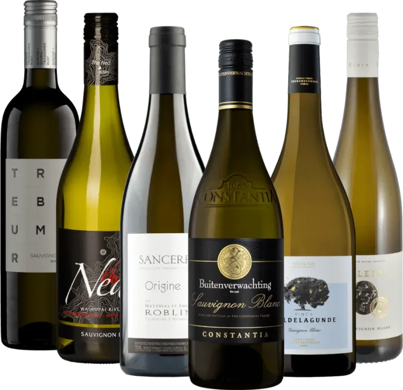 6x druivenrassenpakket - Internationale Sauvignon Blanc-bestsellers