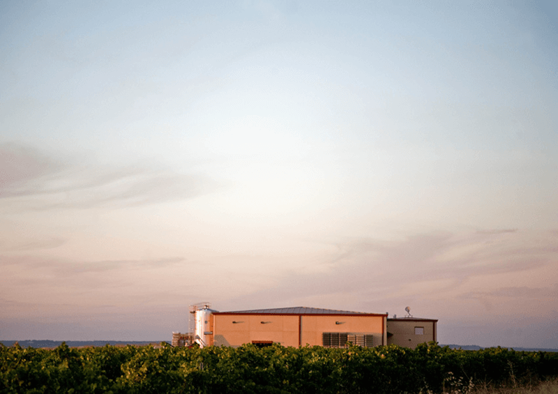 Uitzicht op de wijnmakerij van Bodegas Naia Uitzicht op de wijnmakerij van Bodegas Naia