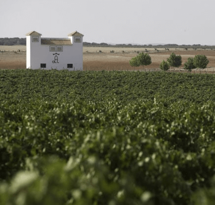 Finca los Aljibes In Castilla La Mancha Finca los Aljibes In Castilla La Mancha