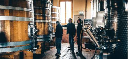 In de wijnkelder van Buscareto